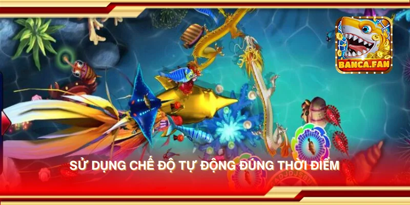 Sử dụng chế độ tự động đúng thời điểm