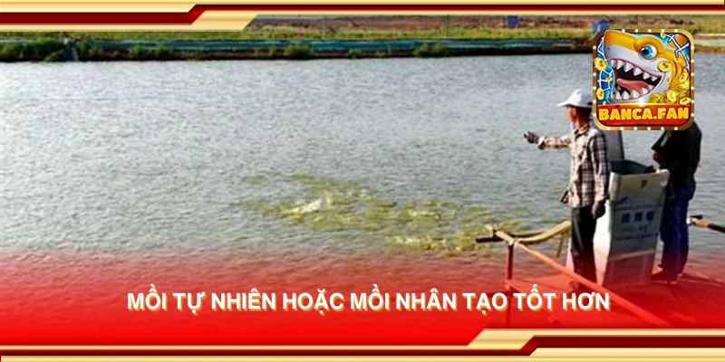 Mồi tự nhiên hoặc mồi nhân tạo tốt hơn