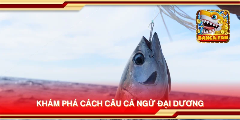 Khám phá cách câu cá ngừ đại dương