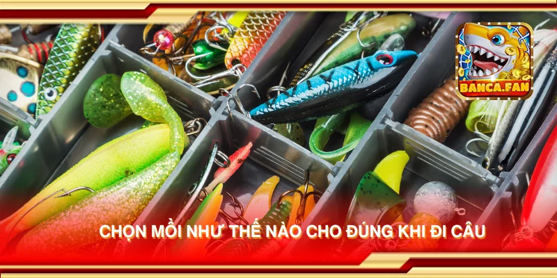 Chọn mồi như thế nào cho đúng khi đi câu
