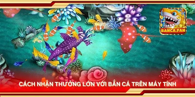 Cách nhận thưởng lớn với bắn cá trên máy tính