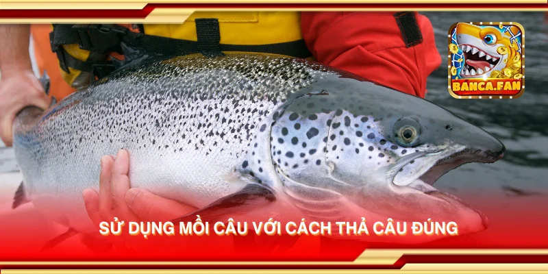 Sử dụng mồi câu với cách thả câu đúng