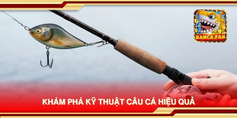 Khám phá kỹ thuật câu cá hiệu quả