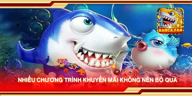 Nhiều chương trình khuyến mãi không nên bỏ qua