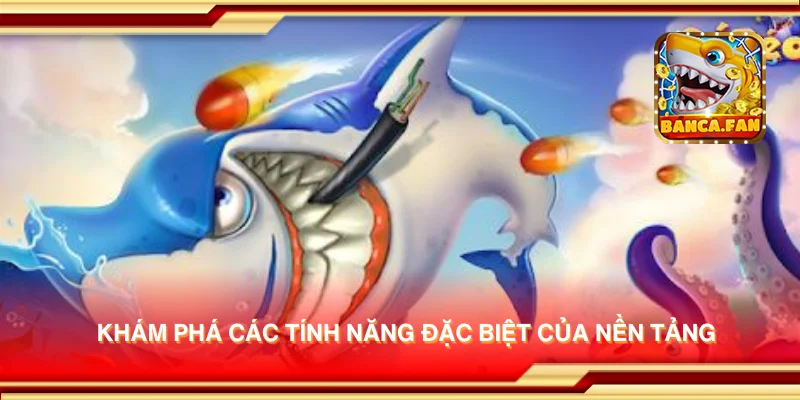 Khám phá các tính năng đặc biệt của nền tảng