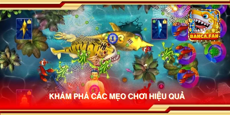 Khám phá các mẹo chơi hiệu quả