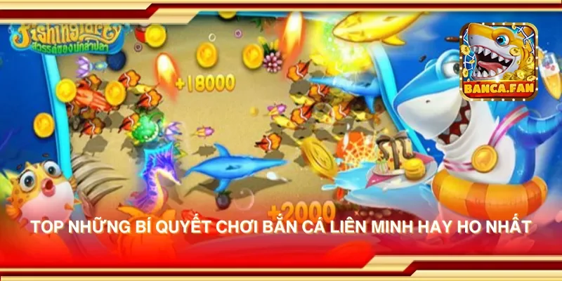 Top những bí quyết chơi bắn cá liên minh hay ho nhất